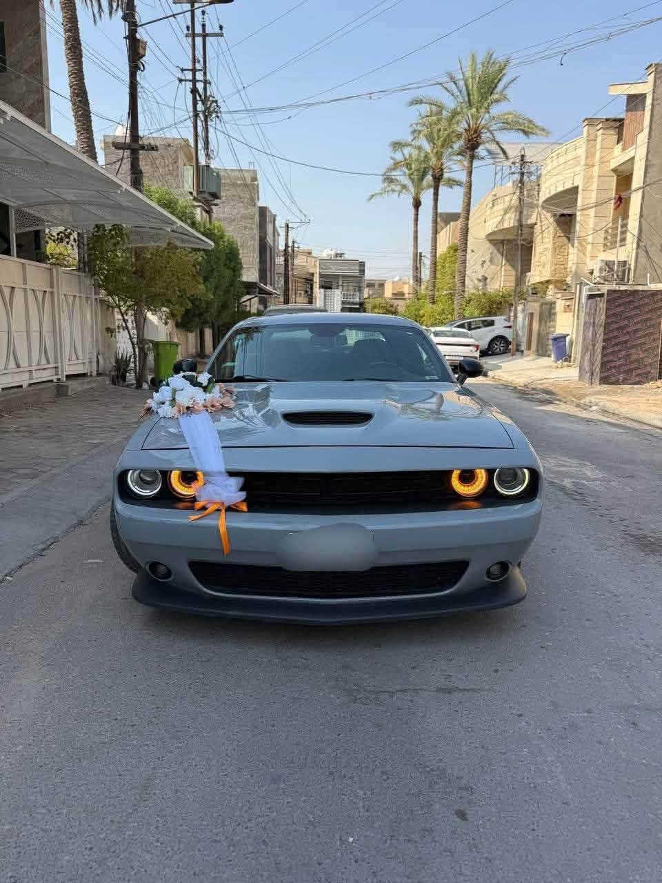 جالنجر • SRT سكات باك • GT بلاك توب