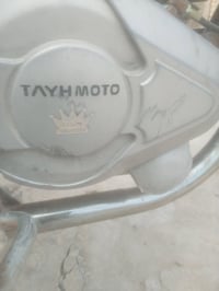 محرك جديد • عل شرط • الخضر