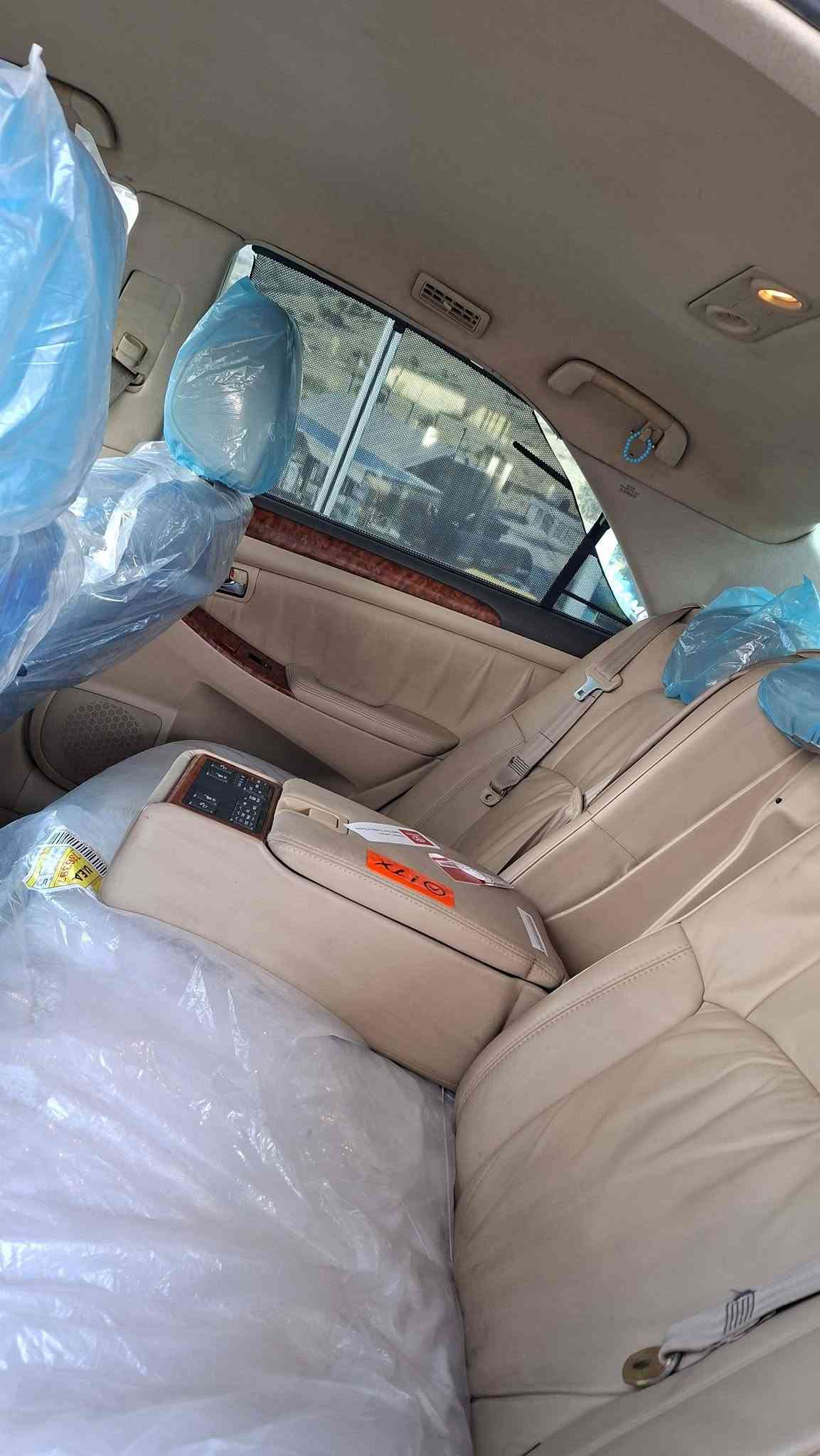 شاهين • فول • السليمانية