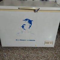مجمده للبيع سعر 275 وبيها مجال رقم 07713815921