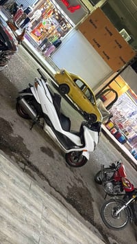 فورزة • صفر • مكفوله