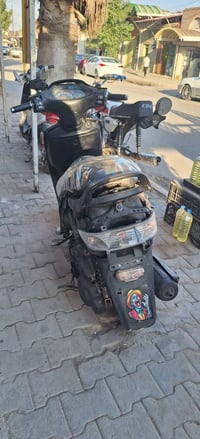 فراشه • فحل • كهربائية