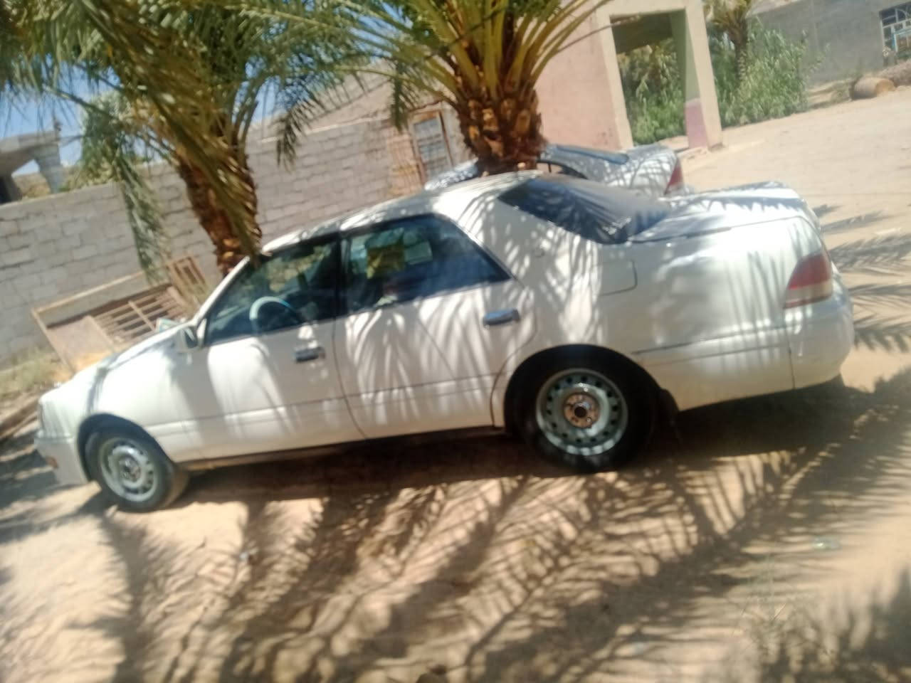 ل المراوس فقط ياباني كصتين رقم انبار سنويه ل 28 جاهزه. ‏‪***********‬‏
