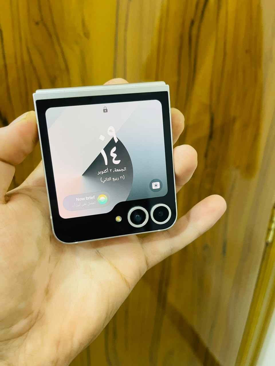 زد فليب 6 • ٥١٢/١٢ • ضمان عين الفهد