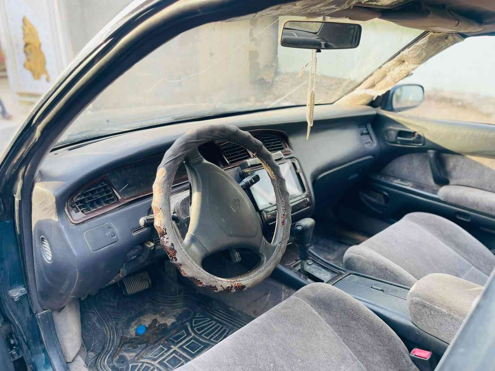 بطة • الأسود مراوس • حديثة