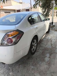 التيما • ٢٠١٢ • رقم اربيل