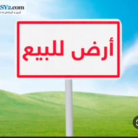 خانقين توله فروش • ١٥٠م • شارع تجاري