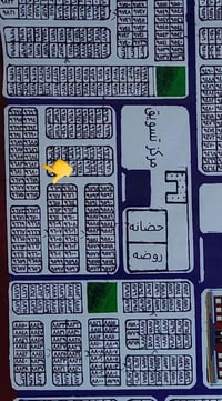 نصف قطعة • ١٠٠م • مقاطعة ٥٥
