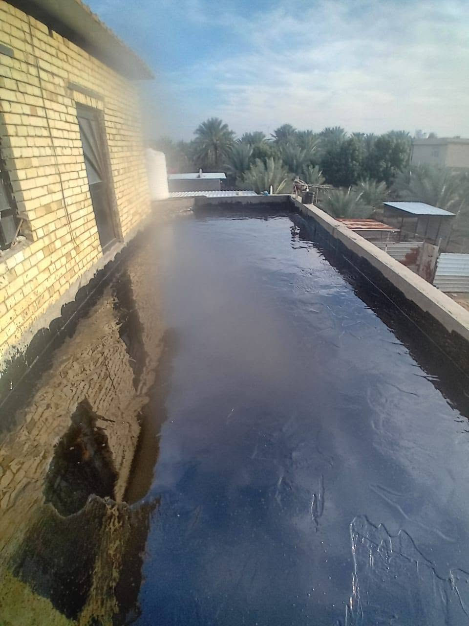 سكله المنكوشي البيع الكير الدرجه الاولى في محافظة كربلاء اتصال على رقام تاليه  📞📞///***********

