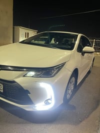 كورلا SAS • ٢٠٢١ • رقم اربيل