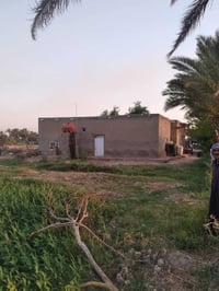داور شبيشه • ٣٠ دونم • طابو صرف