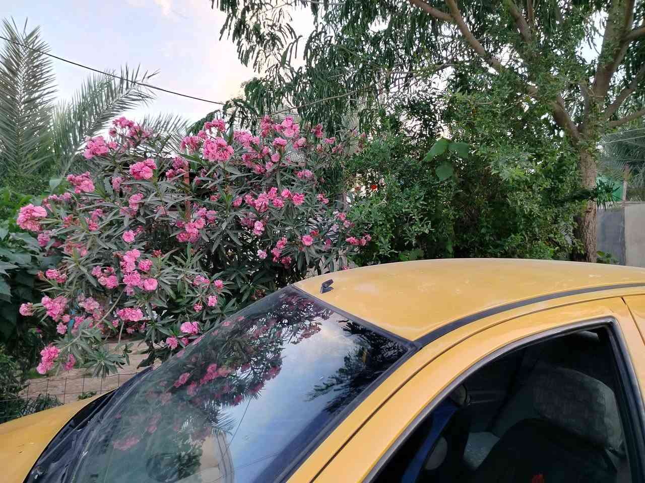 #بيت_للبيع

المساحة الكليه 320
مساحة البناء 220 كراج كبير مع حديقة
استقبال 9×4.5
الصالة 9×5
غرفتين نوم 5×6
مطبخ 6×4
حمام داخلي 2×1.5
حمام خارجي 2×1.5
خط مولد مع خط انترنت
شامل جميع الخدمات (الكهرباء _الماء _البلدية) 
العنوان /النهروان الدوانم/ خلف معمل الغاز
للاستفسار الاتصال على الرقم***********
#النهروان #عقارات #عقارات_النهروان #بغداد
