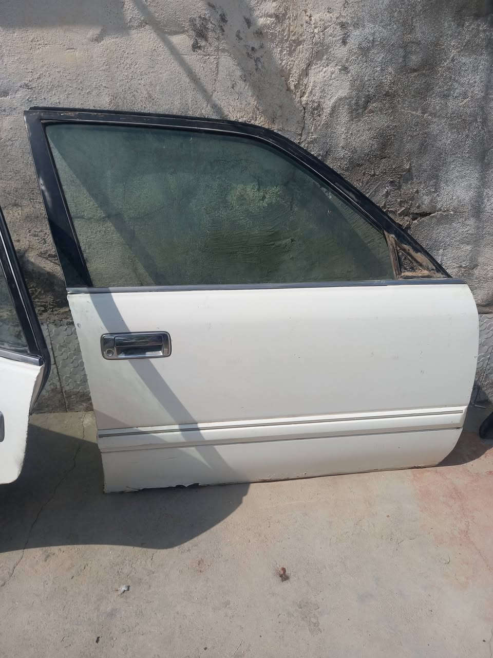 بيبان • راس الثور • لايت