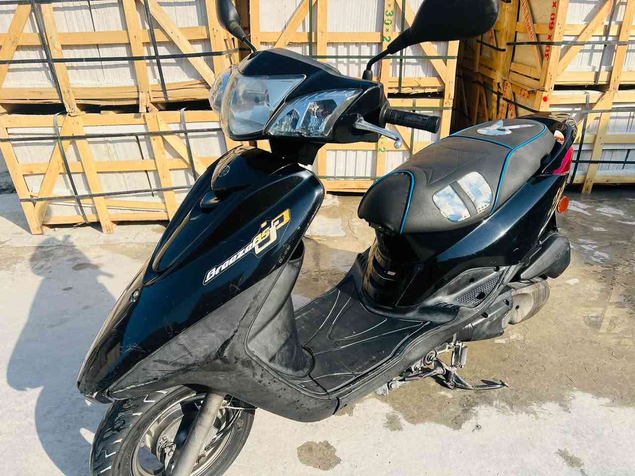 بغبغاء بريز • بغداد الدورة
