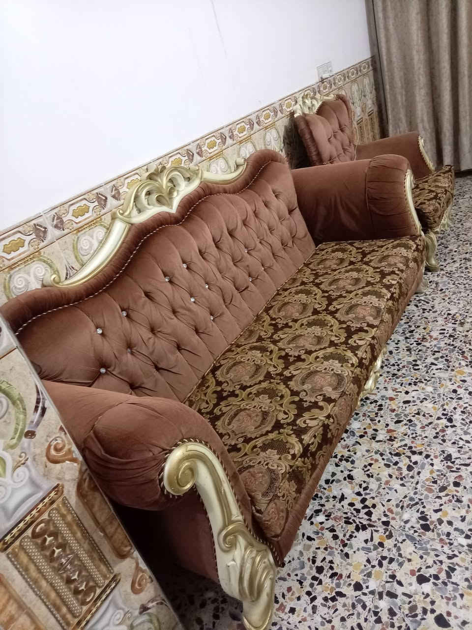 تخم للبيع نظيف
