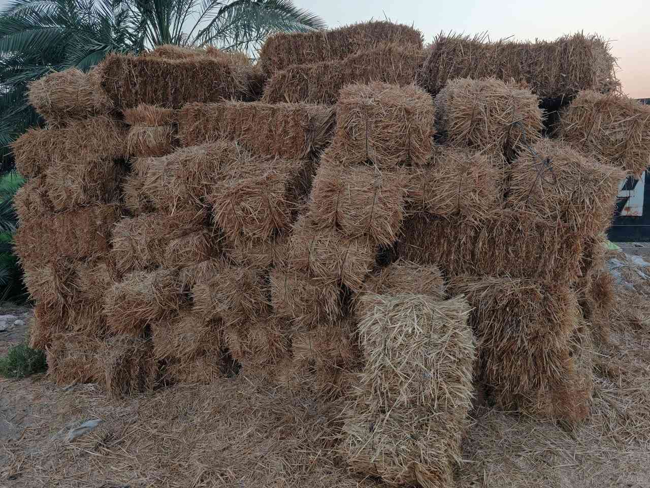 السلام عليكم لبيع كبس تبن نضيف مكان نجف ناحيه الحريه للاتصال ***********
