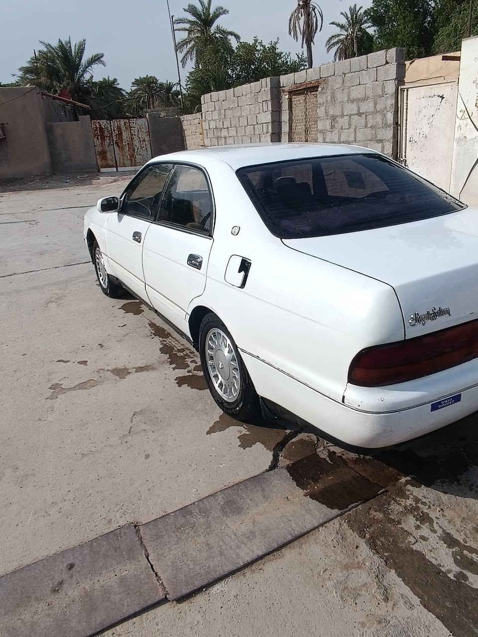 بطه ١٩٩١ • رقم بصره • نقل جثه