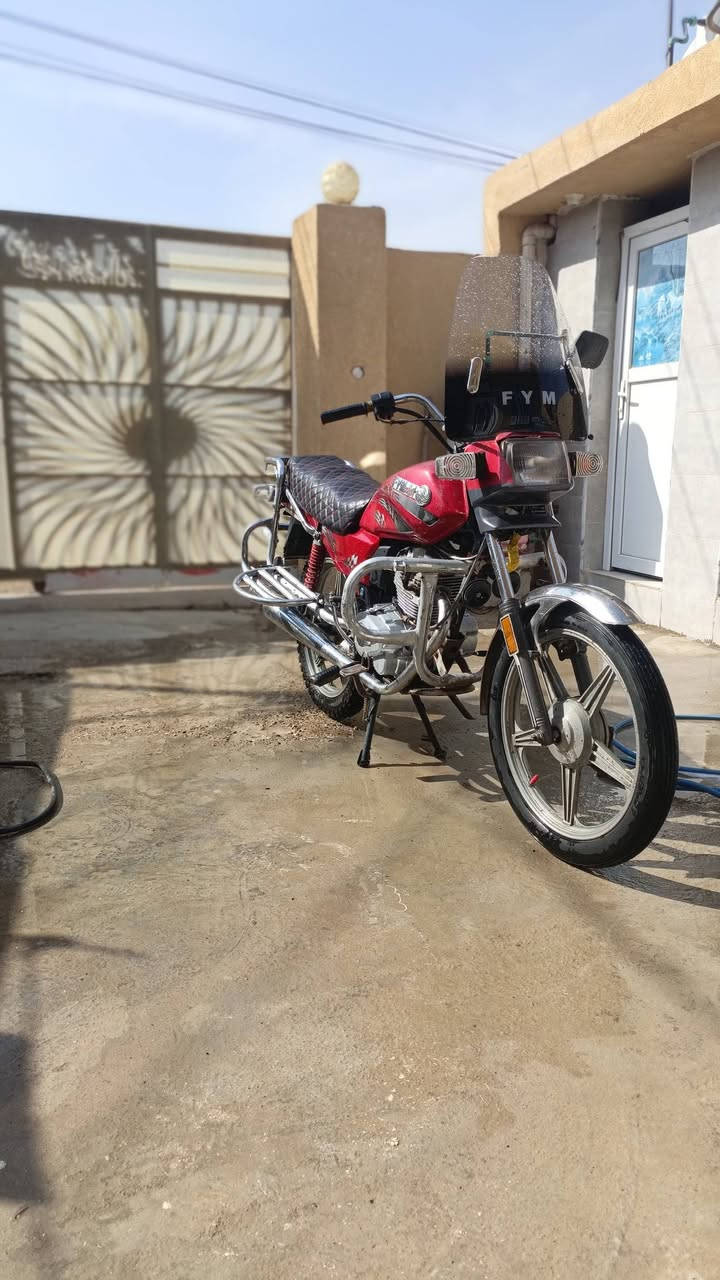 فيوم • ٢٠١٥ • اوراق بلجيس