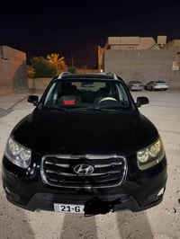 سنتافي • ٢٠١٠ • وارد خليجي