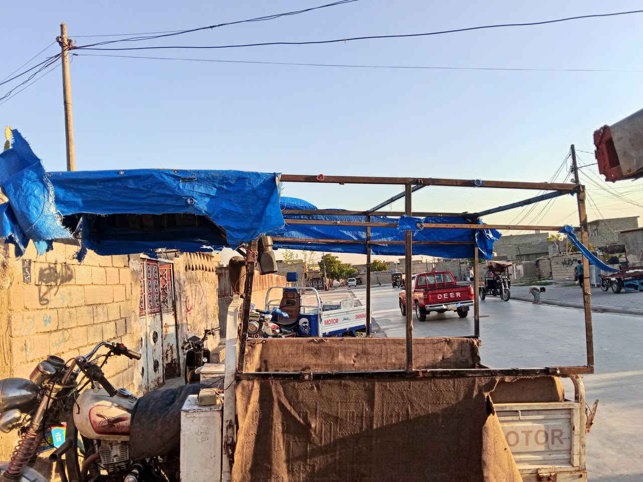 جنج مخضر لبيع سعر 25 الشراي يخابر ***********
