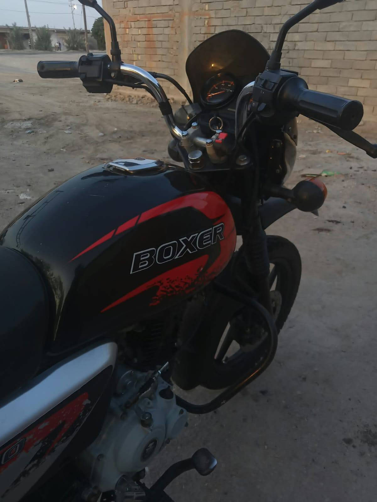 بوكسر • ٢٠٢٣ • رقم انكليزي