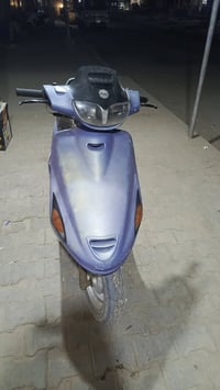 فراشة فحل • مجفتة • سلف وهندر
