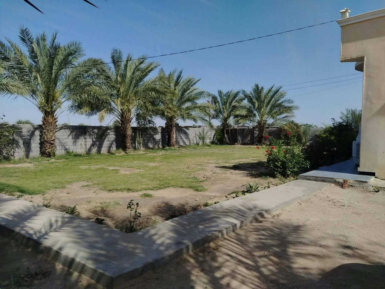 ارض زراعي للبيع
مساحة ٢ دونم مع بيت،،

العنوان الاسكندريه شاخه شارع الضغط،،،

 ((طابو زراعي سند ٢٥ تحويل مباشر ))

كامل الخدمات من ماء اساله من وطني + مولد شارع
 مساحه البيت ٢٠٠ متر 
 يحتوي ع غرفتين نوم  + مطبخ + ستقبال +صاله + مجمع صحيات داخليه وخارجيه+بيتونه +  البيت مسيج
بناء البيت بلوك
مبني  البيت سنه. ٢٠١٨
الاستفسار خاص او التواصل ع الرقم ***********
