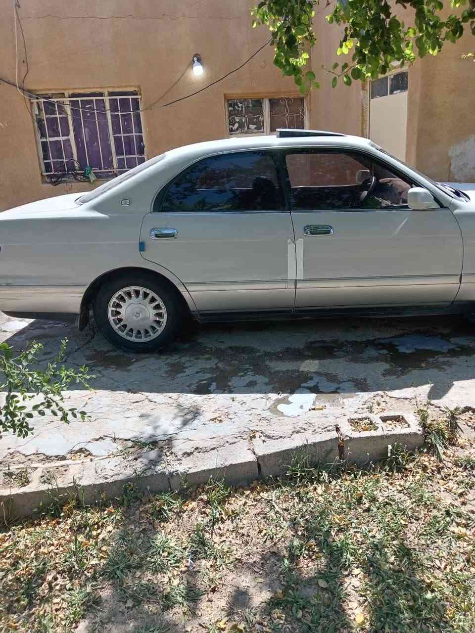 سلام عليكم بطه البيع بسمي رقم انبار مكان كربلاء سعر 55 هذا رقمي ***********
