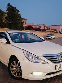 سوناتا • ٢٠١٤ • وارد كوري