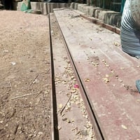 شيلمان جديد • عدد ١١ • ٤ونصم