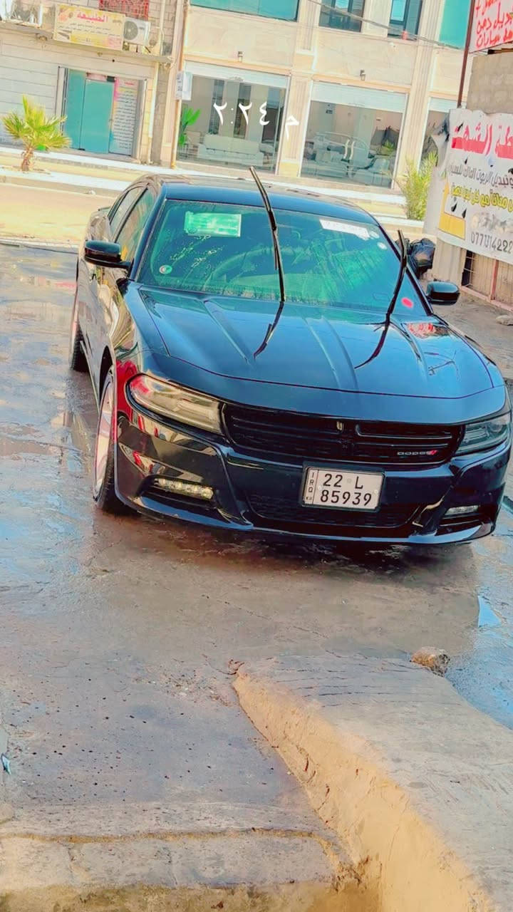 جارجر كندي كفاله ٢٠١٩ رقم اربيل
 الهاتف *********** الزبير, البصرة
