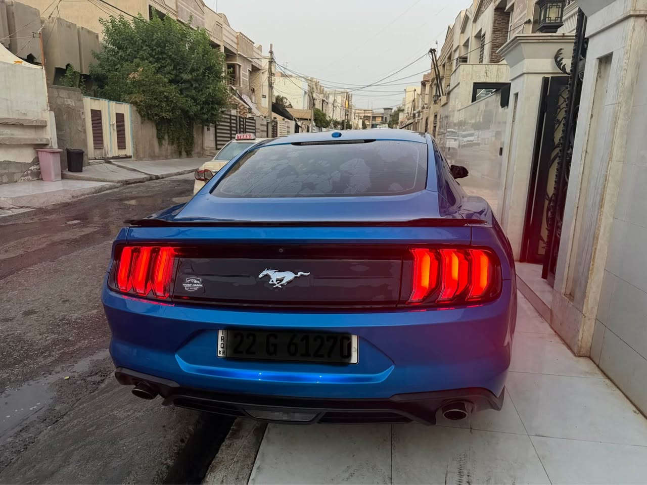 موستانج اكوبوست • ٢٠١٩ • نيلي