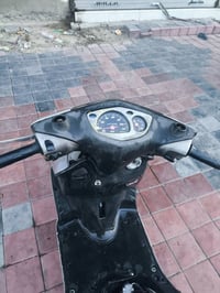 سكنس • ياباني • مكفوله