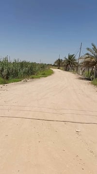 منطقة بني ساله • ٨٦٠م • طابو زراعي
