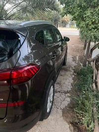 توكسان • ٢٠٢٠ • حادثة