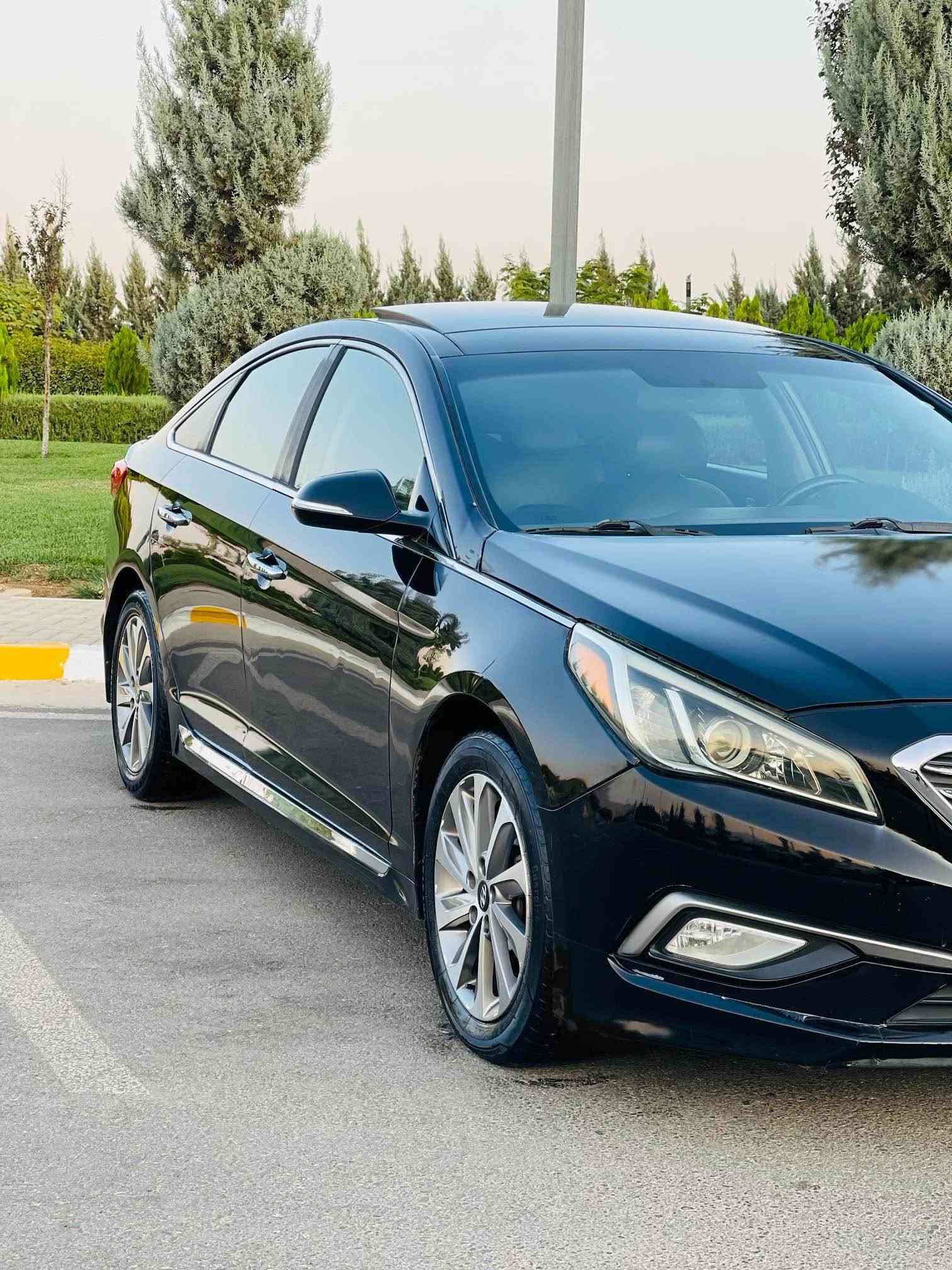 سوناتا ليمتد • ٢٠١٧ • تأمين ٢٠٣١