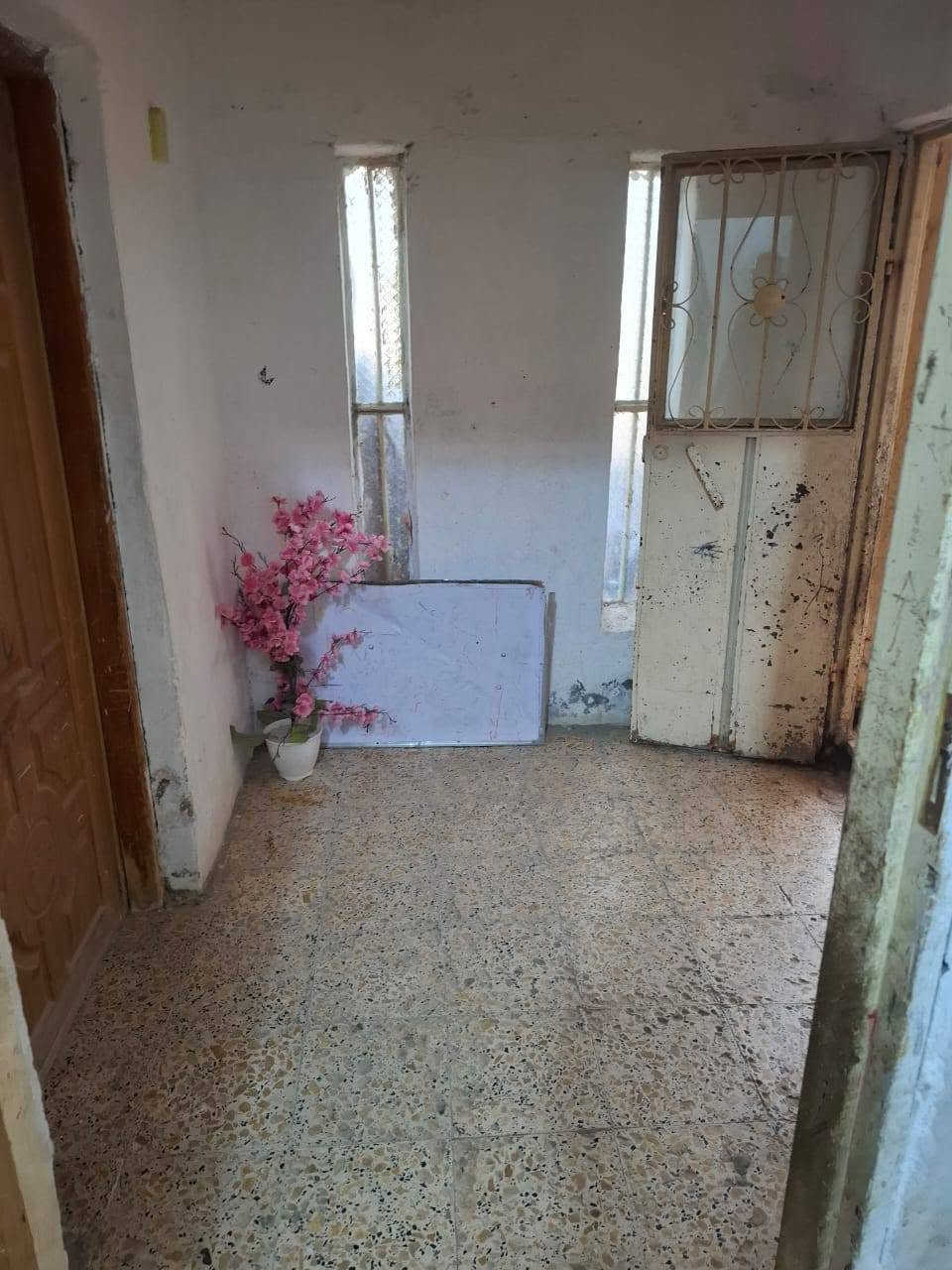 طابو صرف • ٢٠٠م • الجمعية