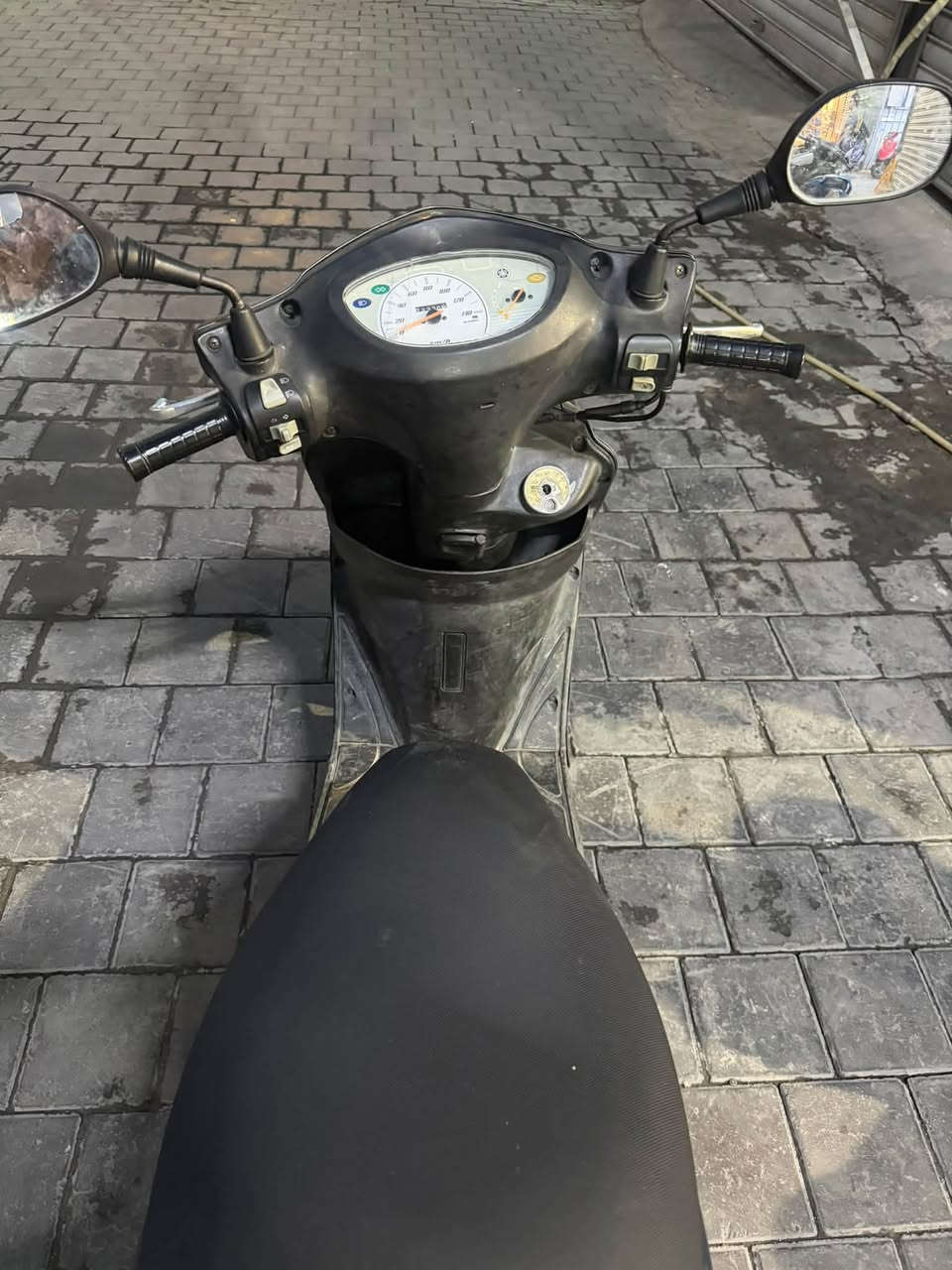 بغبغاء • مكفوله • مكينه