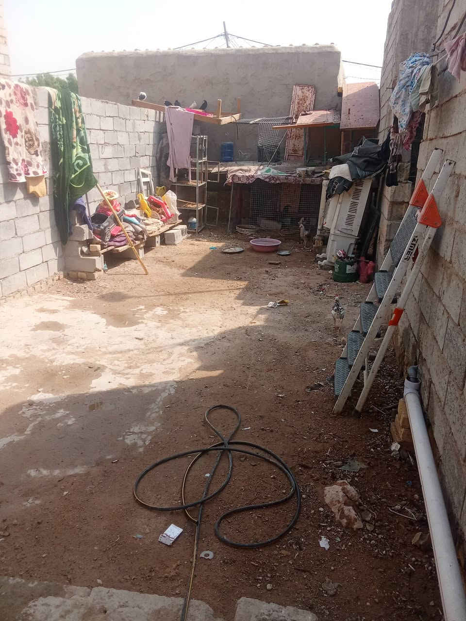 السلام عليكم بيت للبيع عقد زراعي مساحته 145متر بيت وعرصه بصفه مسوينها حديقه غرفتين وصاله و مطبخ وستقبال وتخاريج داخليه وخارجيه تجعيب طابوك بنيانه بلوك عكاده الوجهيه 14ونزاله 12مكانه شارع مطار القديم قرب جامع أم البنين يبعد عن مطار 70متر وعن شارع 500متر سعره 22وبي مجال ***********
