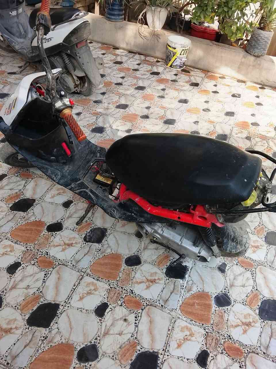ماكس رياضي • بوشة ٥٥ • شلعة معدل