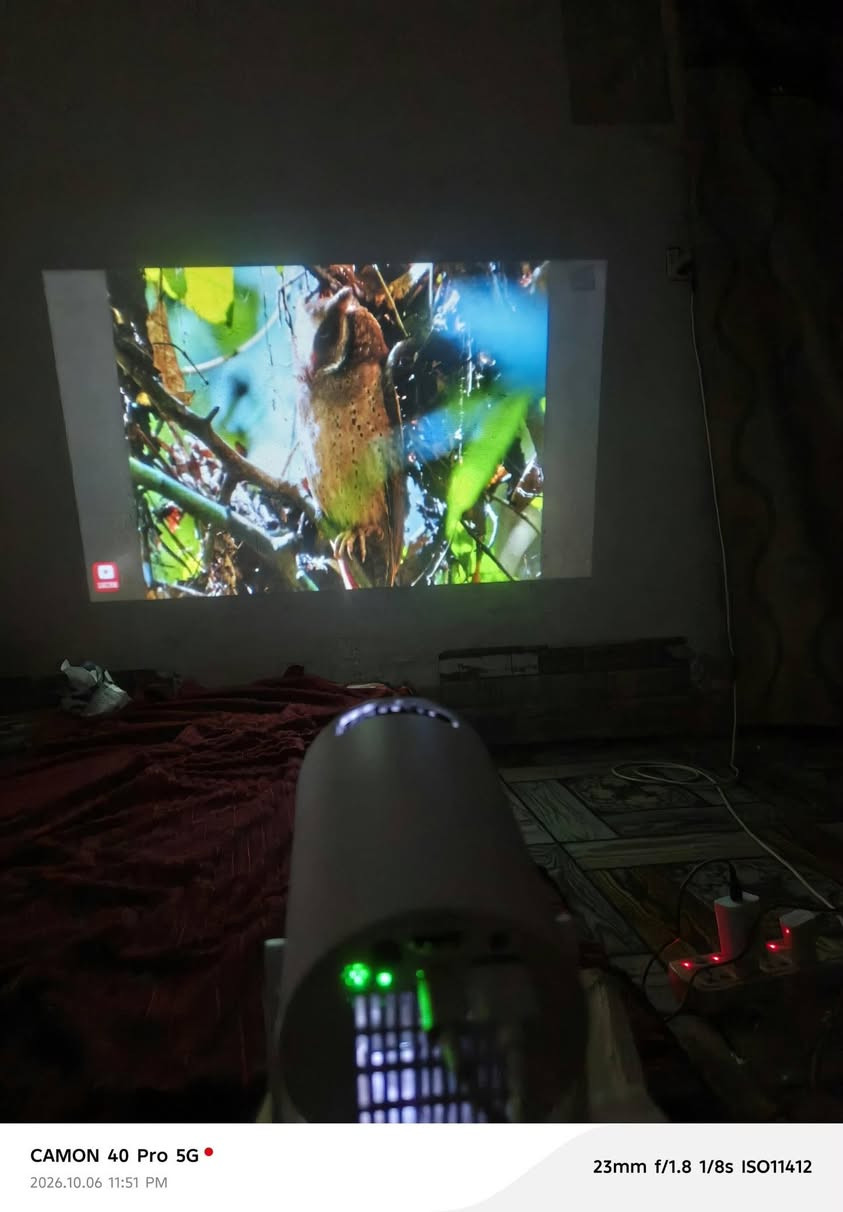 داتا شوب • عارض سينمائي • توصيل