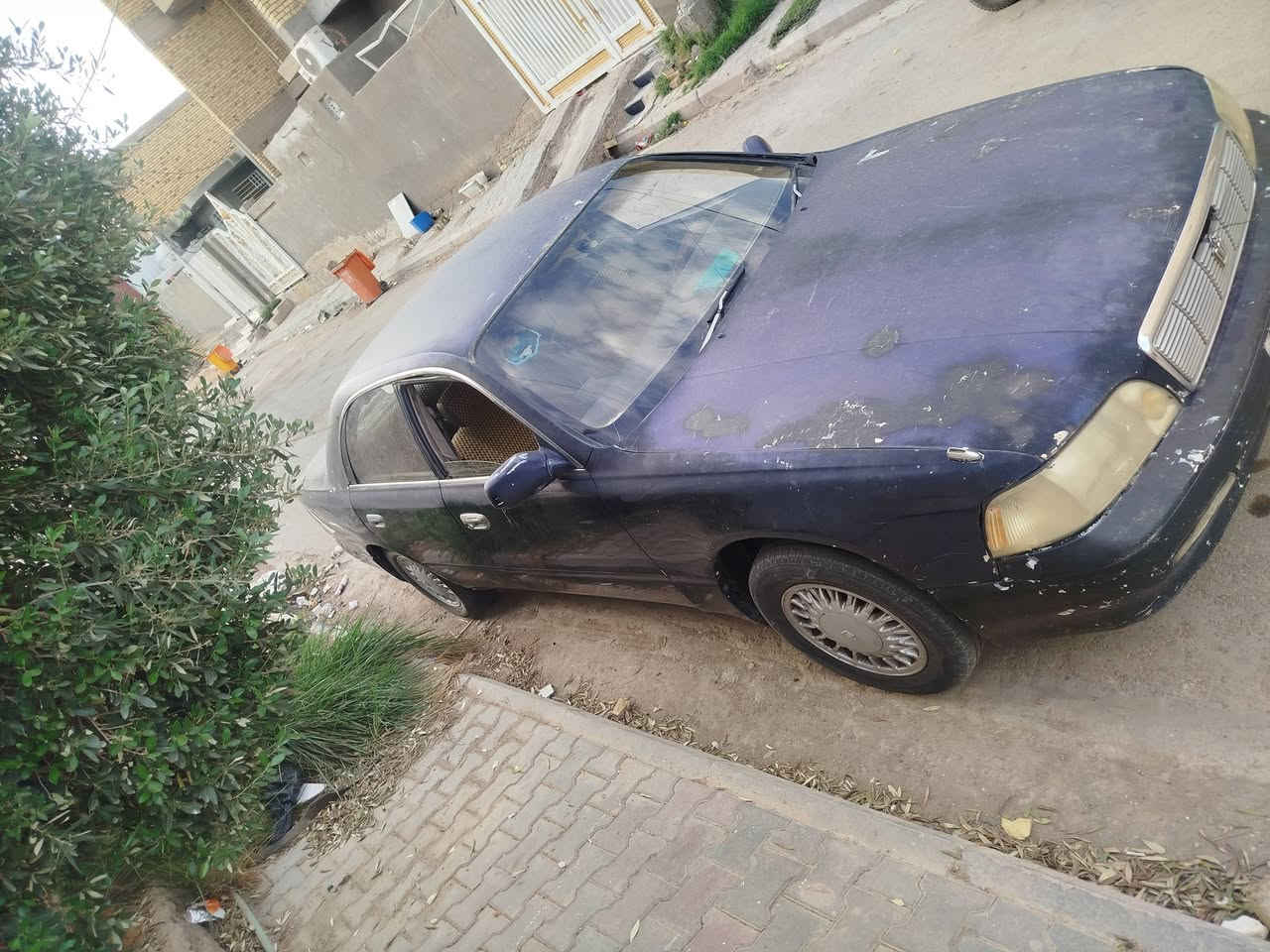 ماجستا • مكفولة • رقم بصرة