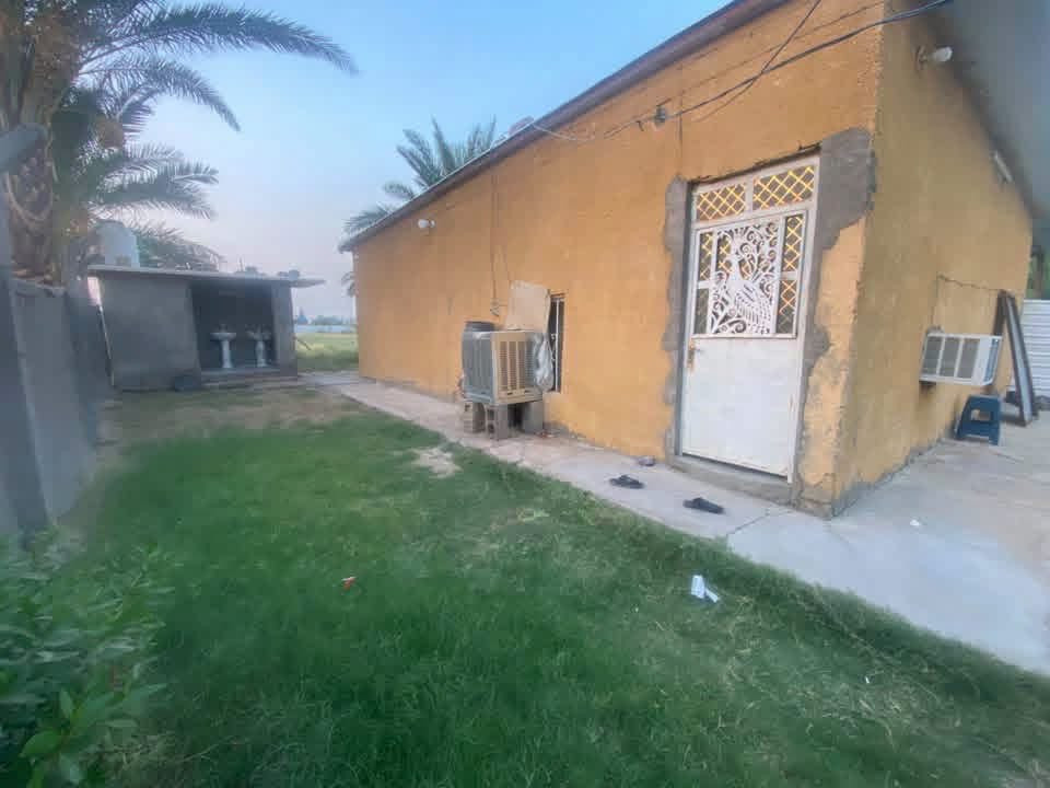 دونم • طابو زراعي • صخريجة