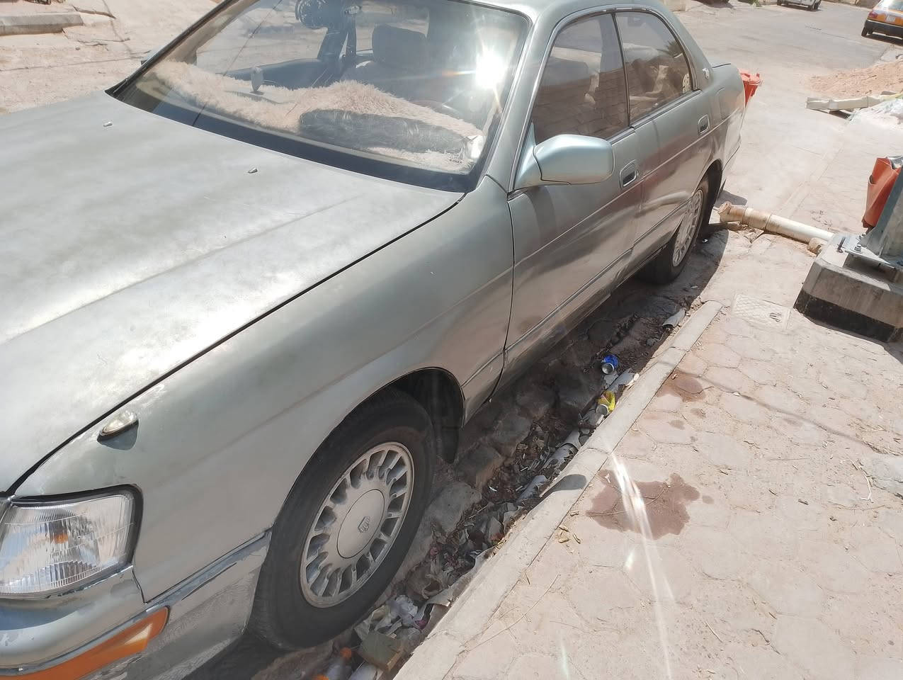 مراوس حسب الرغبه مكانه واسط الكوت العزه الجديده بيع ٤٨ بيه تبريد عاطل الباقي عل بلد (***********)
