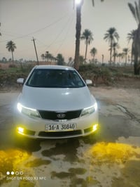 سيراتو • ٢٠١٢ • صبغ عام