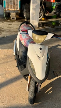 ماگس عدله بوشه 49 مگينه ناعمه لون غراضها  گامله بيهاا نقص بس قبق البات...
