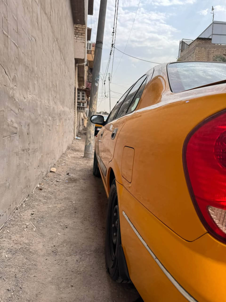 صني • ٢٠٠٩ • سنوية ساقطة