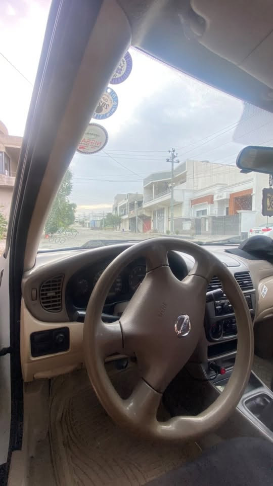 صني • 2009 • بلا صبغ