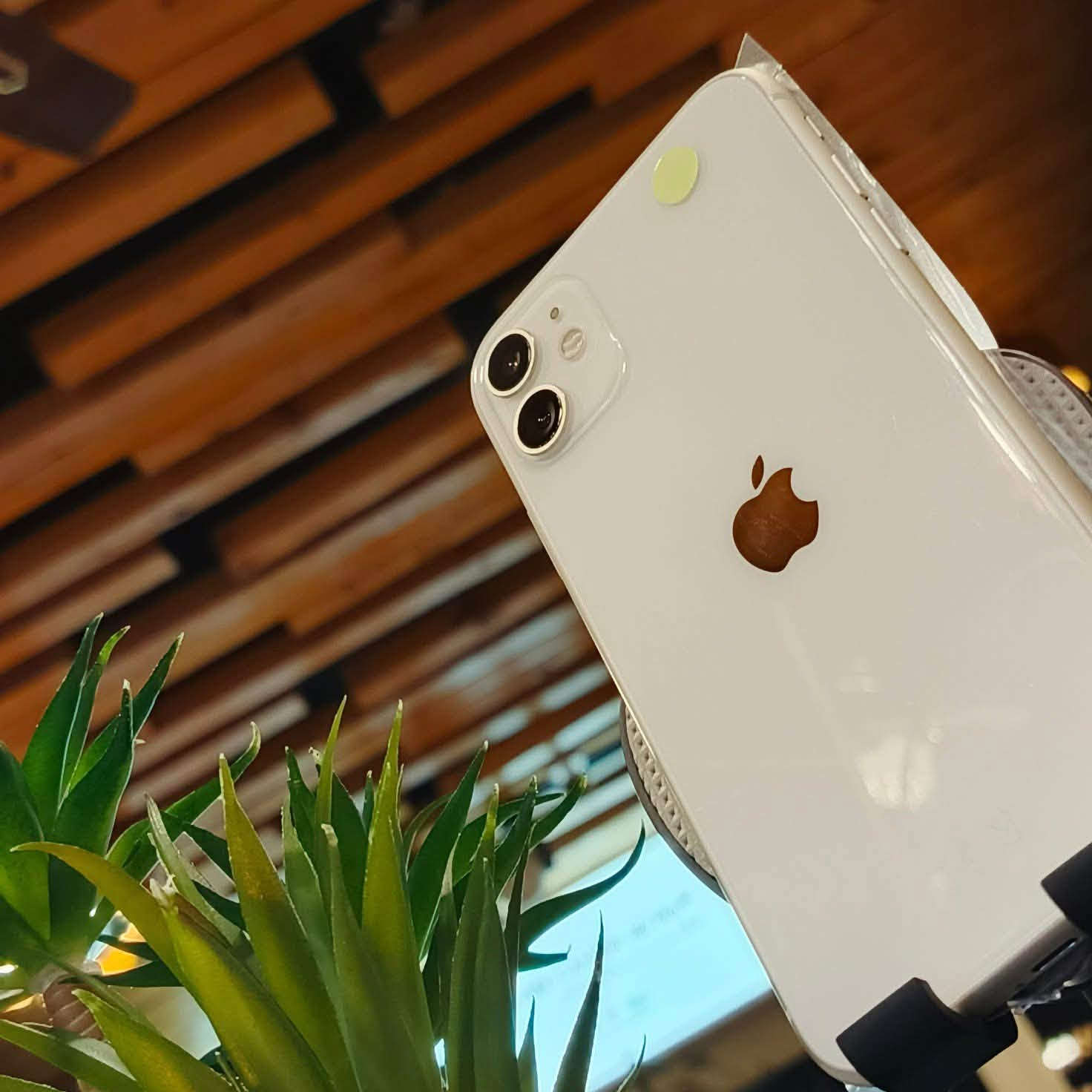 #متاح هاتف مستخدم
# iphone 11

الذاكرة  128 GB
البطارية 73 % 
الهاتف جداا نضيفف. 🤍
لونه الابيض المميزز. 🤍
جهاز كلشي ممبدل بيي. 
يرهم بيع و يرهم مراوس اب اي جهاز عندك
الاستفسار خاص او علا الرقم يتوفر فقط وتساب بي خط مقفول ***********
