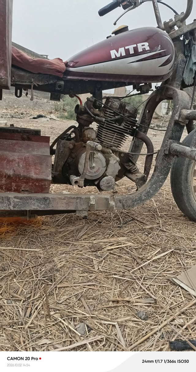 ستوته • شاصي ملحوم • بصرة